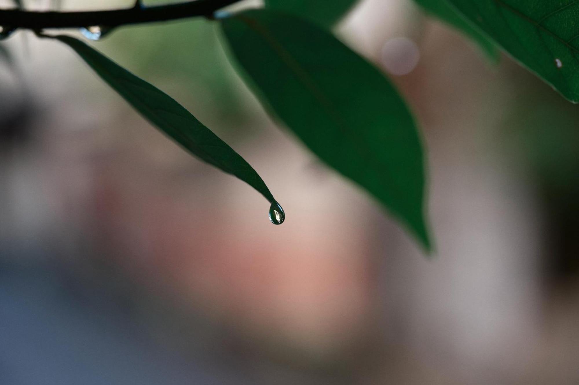 Unsui 武雄蓬莱町 雲水公寓 外观 照片