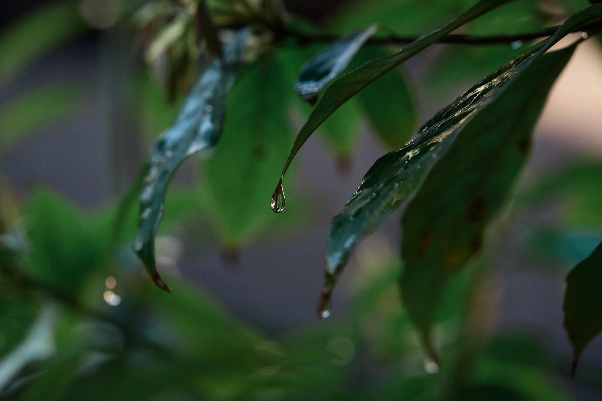 Unsui 武雄蓬莱町 雲水公寓 外观 照片